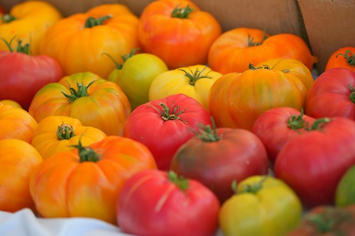 walnut-creek-farmers-market