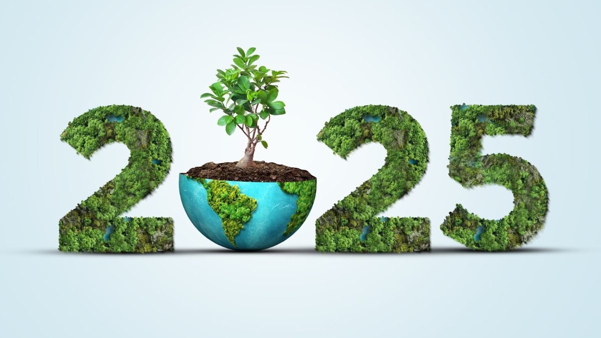 The number 2025 where the 2's and the 5 are comprised of greenery. The 0 is half of the earth with a tree growing out of soil sitting in the half-Earth like a planter.